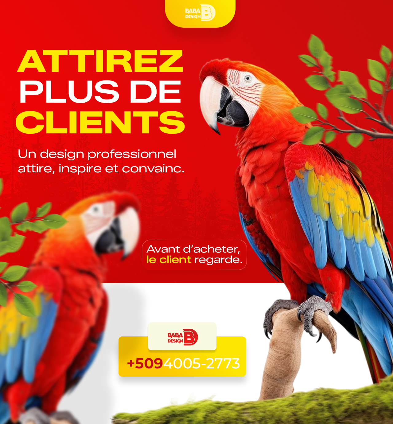 Travail Baba Design 